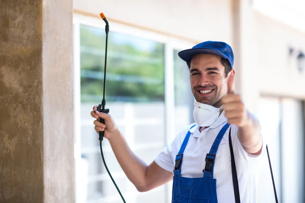 San Carlos Wasp Removal