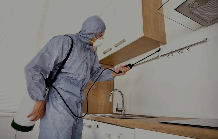 San Carlos pest managment